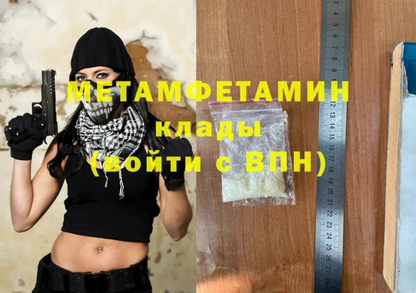 сатива Няндома