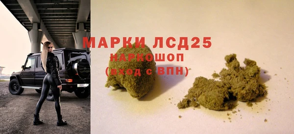 сатива Няндома