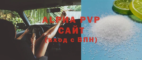 сатива Няндома