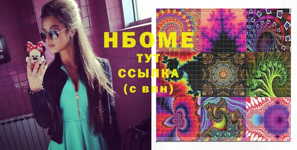 сатива Няндома