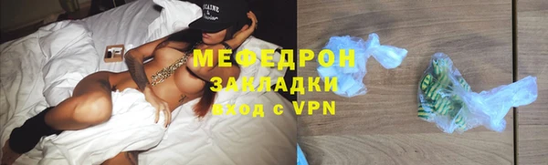 сатива Няндома