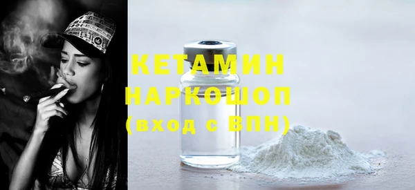 сатива Няндома