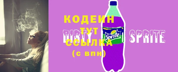 сатива Няндома