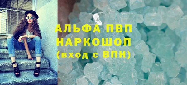 сатива Няндома
