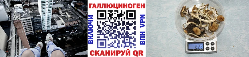 Купить  Иркутск  Галлюциногенные грибы мицелий 